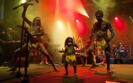 picture of Yothu Yindi with Little TJ