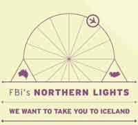 FBi Northern Lights image